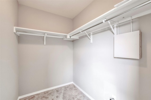 spacious closet with light colored carpet