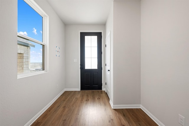 doorway featuring a healthy amount of sunlight and wood-type flooring