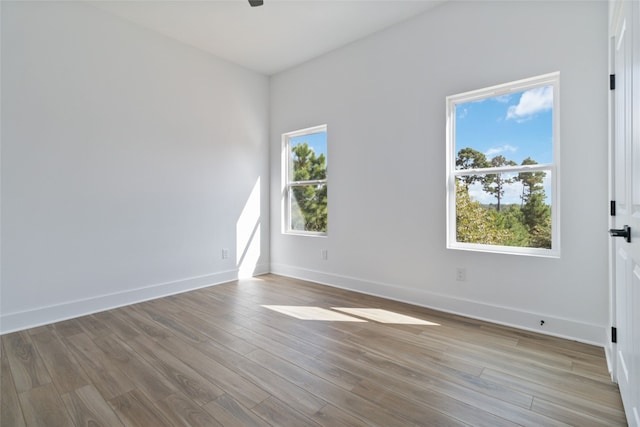 spare room featuring light wood-type flooring and plenty of natural light