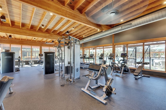 exercise room with a wealth of natural light