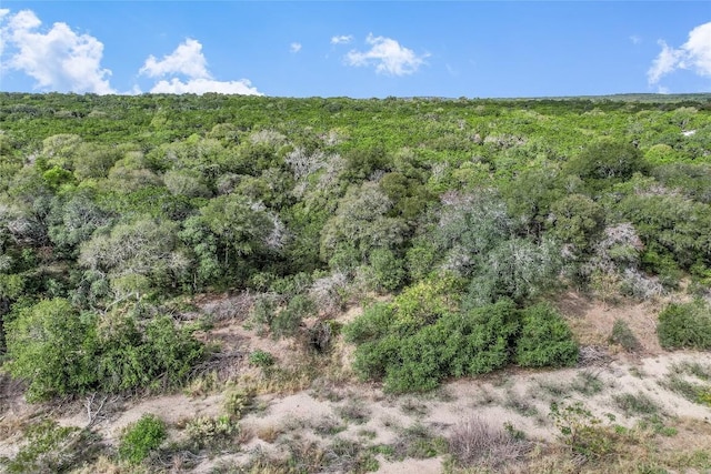 401 Days End Rd, Wimberley, TX 78676