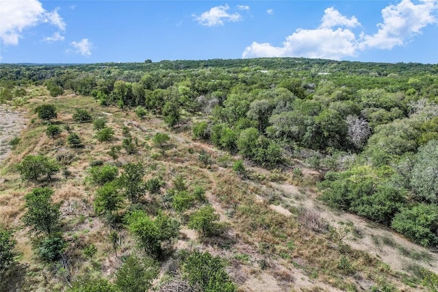401 Days End Rd, Wimberley, TX 78676