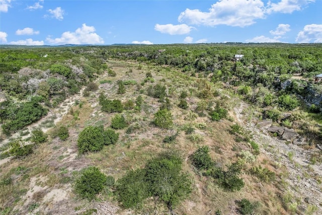 401 Days End Rd, Wimberley, TX 78676