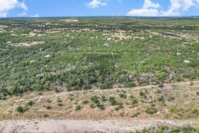 401 Days End Rd, Wimberley, TX 78676