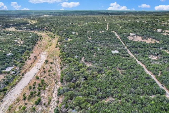 401 Days End Rd, Wimberley, TX 78676