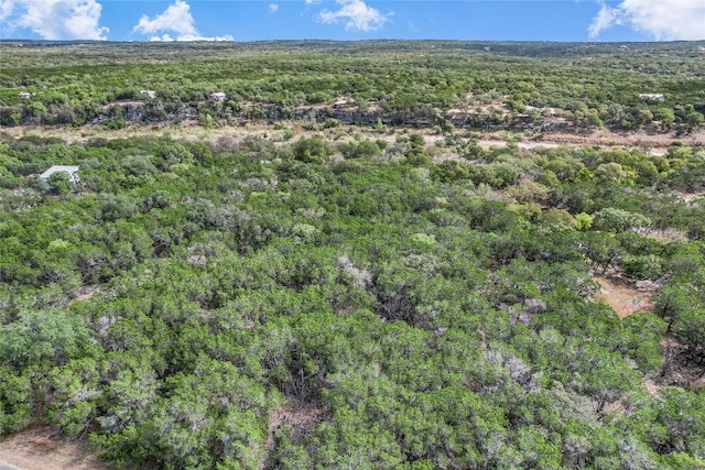 401 Days End Rd, Wimberley, TX 78676