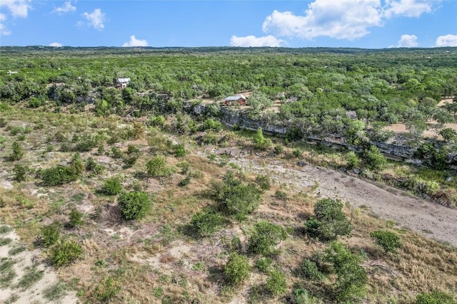 401 Days End Rd, Wimberley, TX 78676
