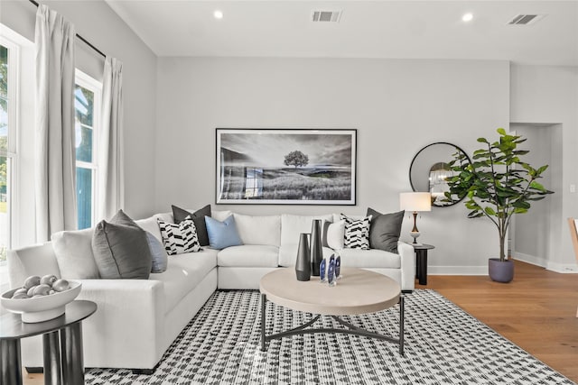 living room featuring wood-type flooring