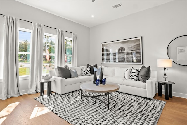 living room featuring light hardwood / wood-style floors