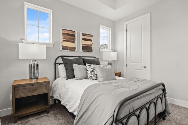 bedroom with carpet flooring