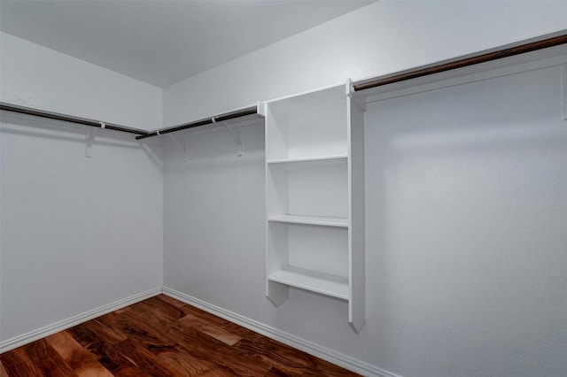 spacious closet featuring hardwood / wood-style flooring