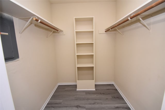 spacious closet featuring dark wood-type flooring and electric panel