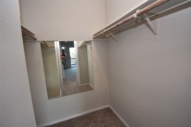 walk in closet with carpet