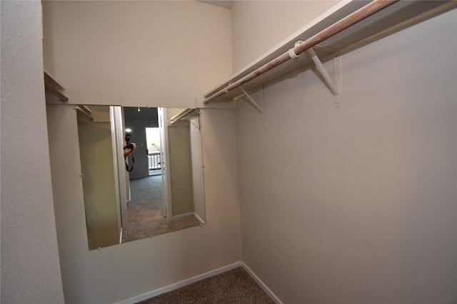 walk in closet with carpet flooring