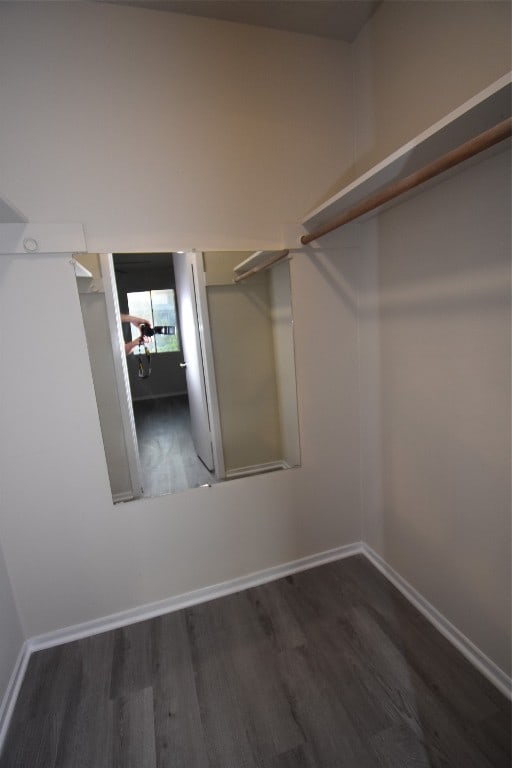 spacious closet with dark hardwood / wood-style flooring