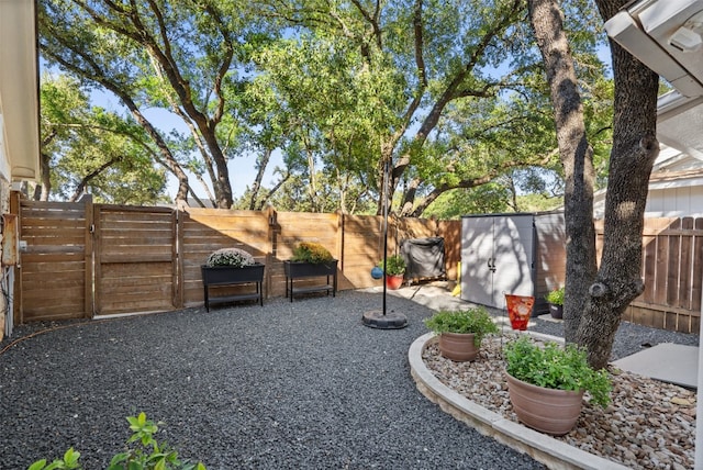 view of yard featuring a patio area