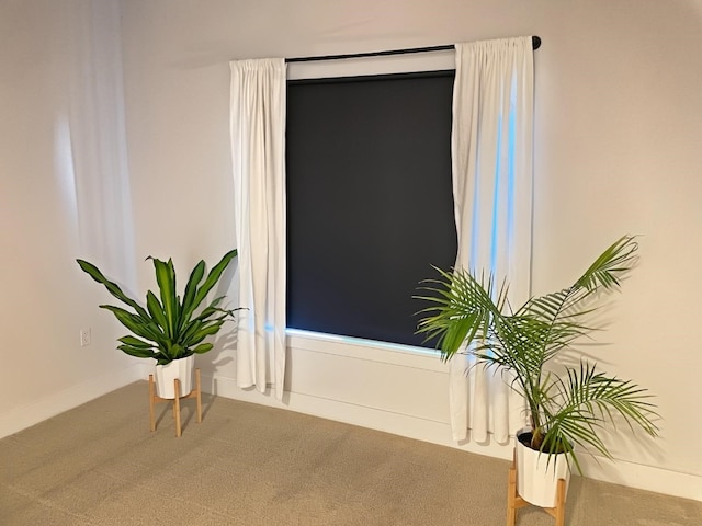 interior details featuring carpet flooring