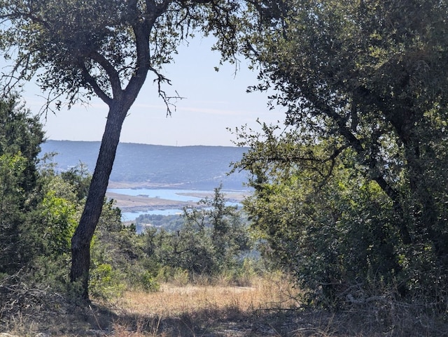 10638 Deer Canyon Rd, Jonestown, TX 78645