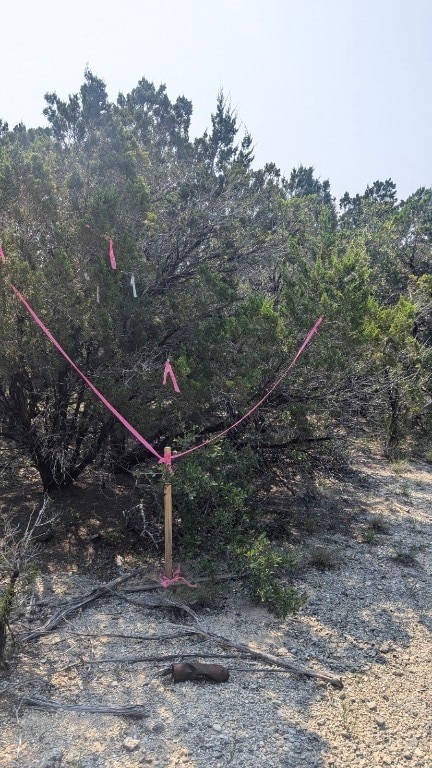 10638 Deer Canyon Rd, Jonestown, TX 78645