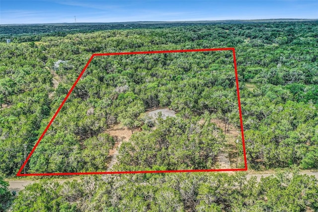 TBD Lame Hoss Ln, Driftwood, TX 78619 - photo 1