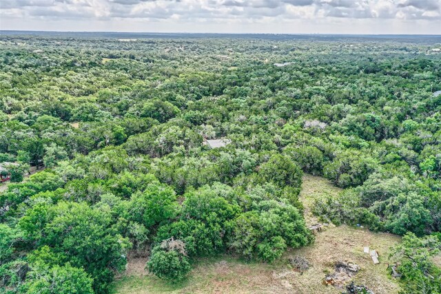 TBD Lame Hoss Ln, Driftwood, TX 78619 - photo 4