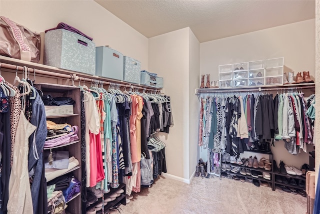 spacious closet featuring carpet flooring