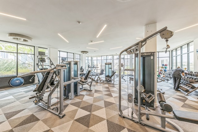 gym featuring expansive windows