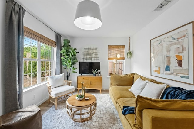 living room with a healthy amount of sunlight and wood-type flooring