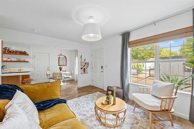 living room with light wood-type flooring and a wealth of natural light