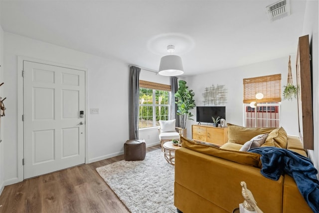 living room featuring hardwood / wood-style flooring