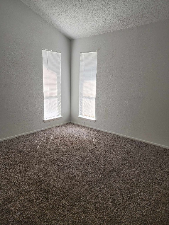 carpeted spare room featuring lofted ceiling and a textured ceiling