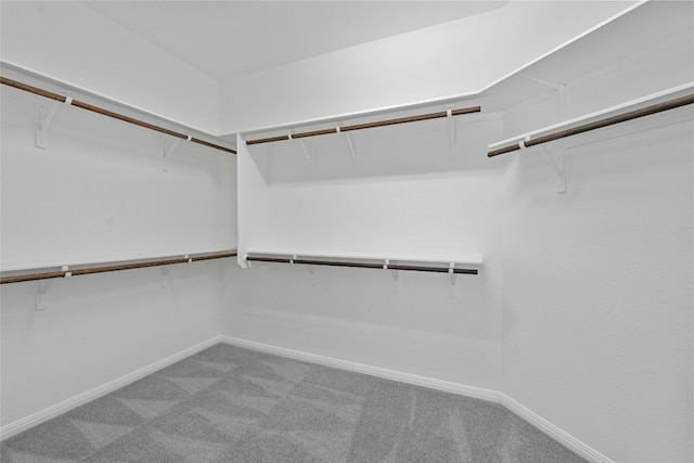 walk in closet with light colored carpet