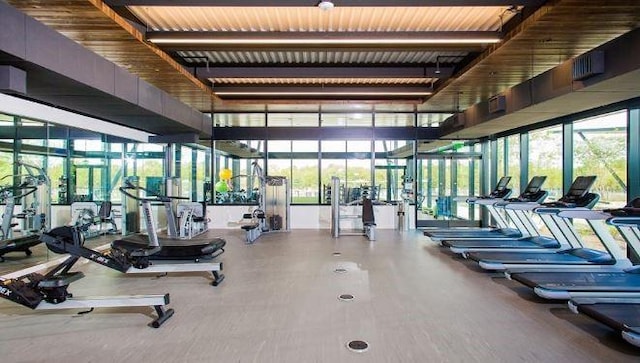 exercise room featuring a wall of windows and a healthy amount of sunlight