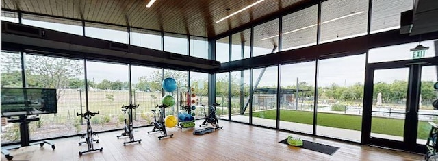 exercise room with expansive windows, a towering ceiling, and wood finished floors