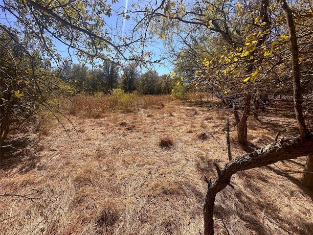 128 W Maunalua Dr, Bastrop, TX 78602