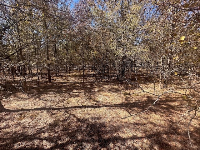 128 W Maunalua Dr, Bastrop, TX 78602