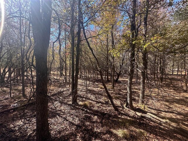 128 W Maunalua Dr, Bastrop, TX 78602