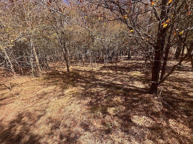 128 W Maunalua Dr, Bastrop, TX 78602