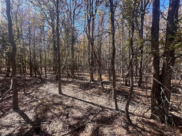 128 W Maunalua Dr, Bastrop, TX 78602