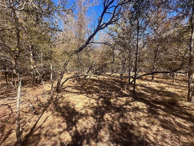 128 W Maunalua Dr, Bastrop, TX 78602