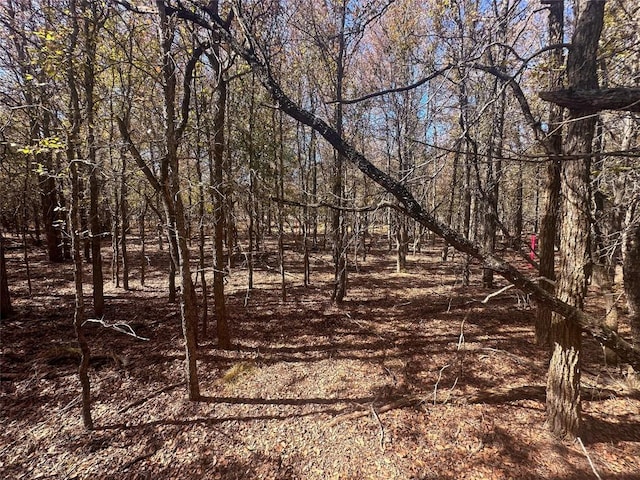 128 W Maunalua Dr, Bastrop, TX 78602