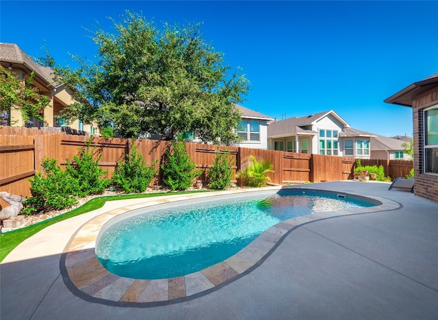 view of swimming pool featuring a patio