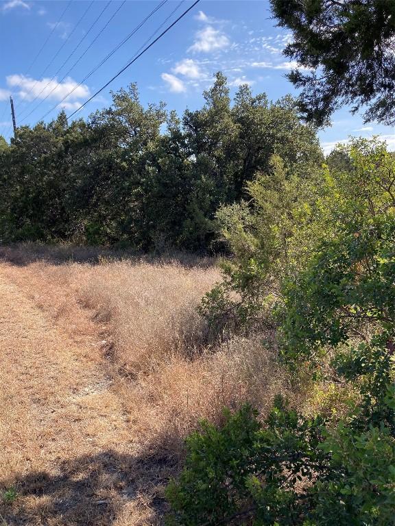 18303 Lake Oaks Dr, Jonestown, TX 78645