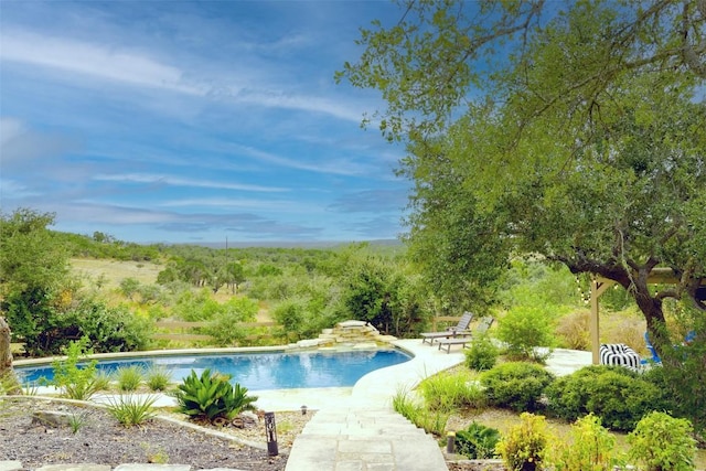 view of swimming pool