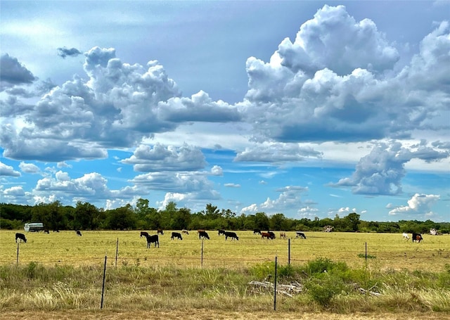 view of yard with a rural view