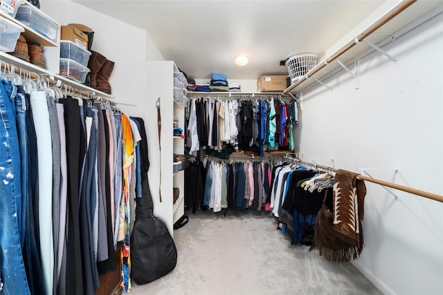 walk in closet featuring carpet