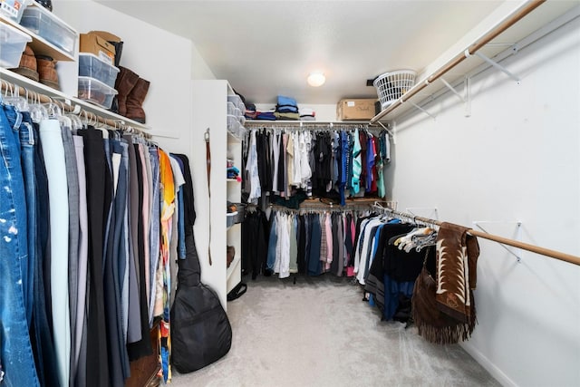 spacious closet featuring carpet floors