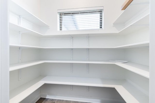 124 Park Place Dr, Georgetown, TX 78628 - view of pantry