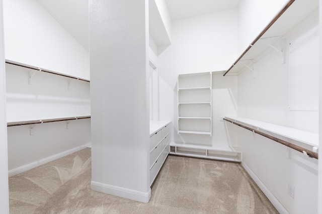 walk in closet with light carpet