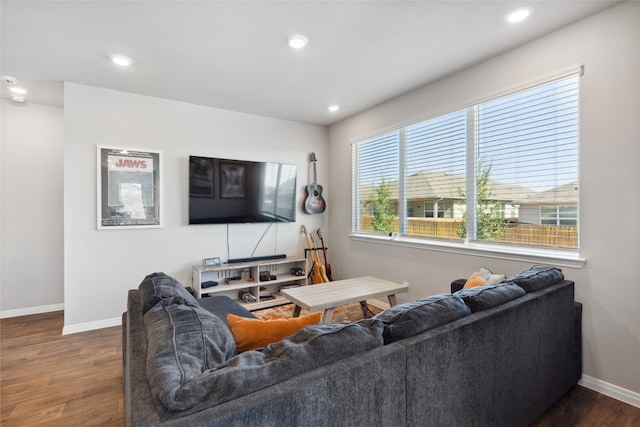 living room with dark hardwood / wood-style floors